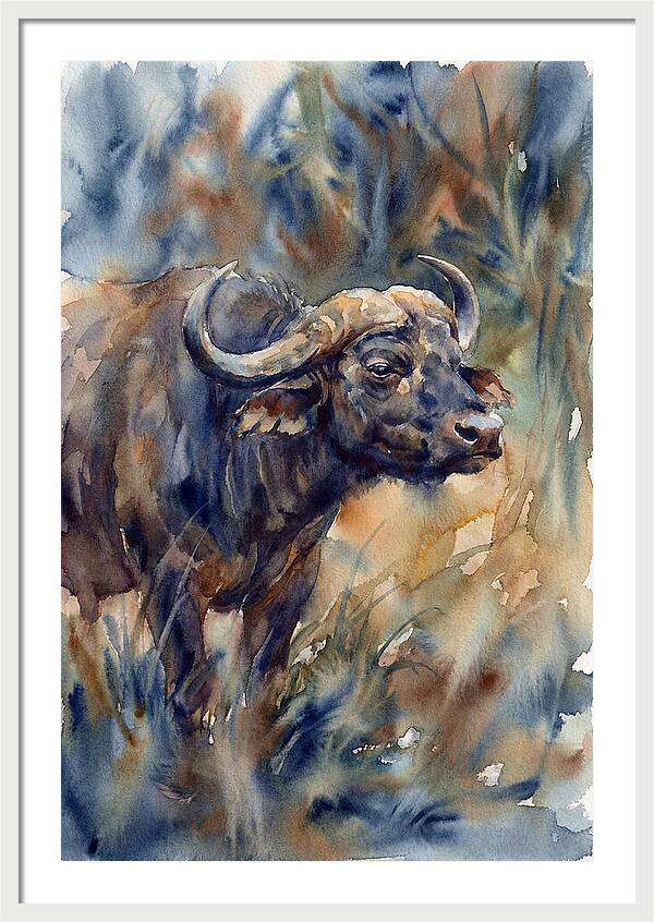 Water Buffalo Serenity