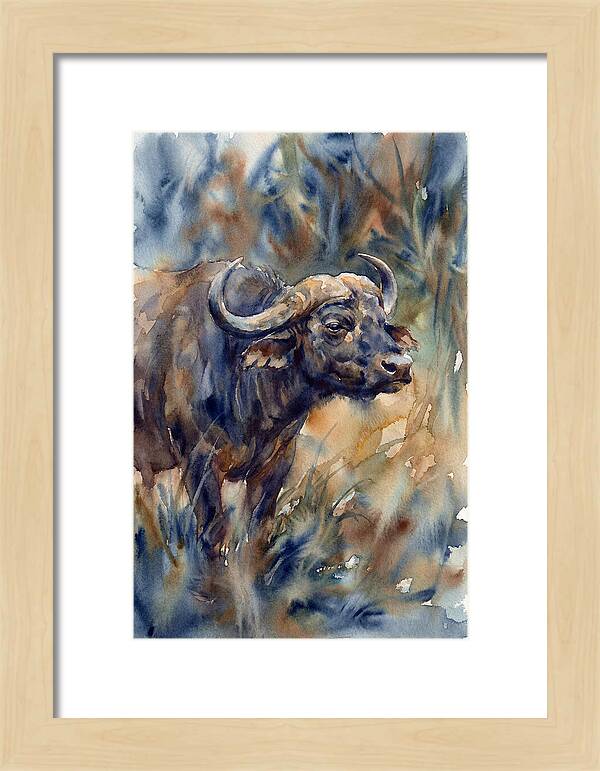 Water Buffalo Serenity
