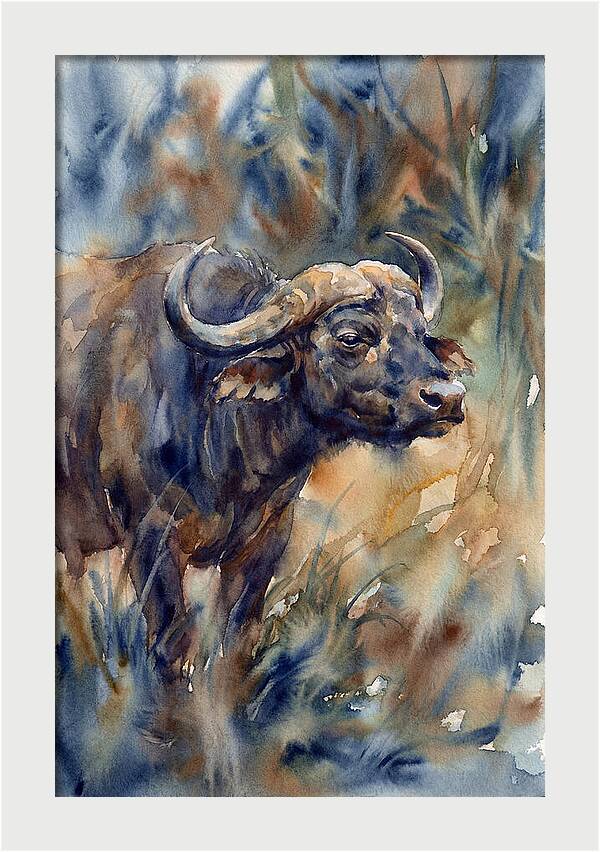 Water Buffalo Serenity