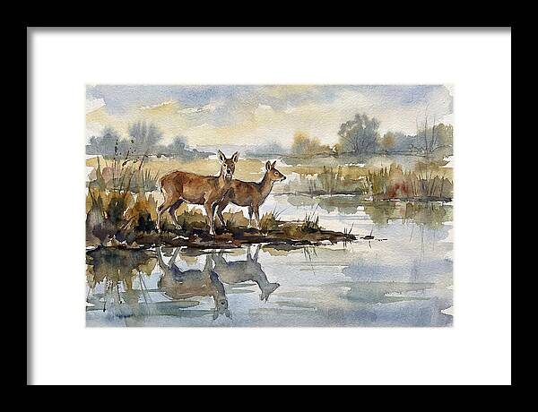 Water Deer By The Water
