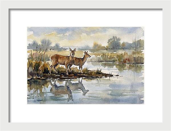 Water Deer By The Water