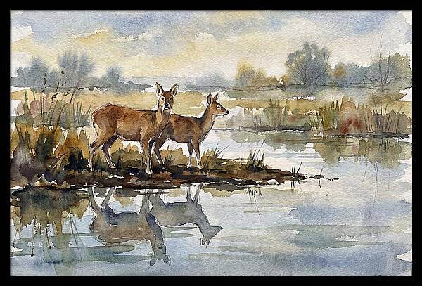 Water Deer By The Water