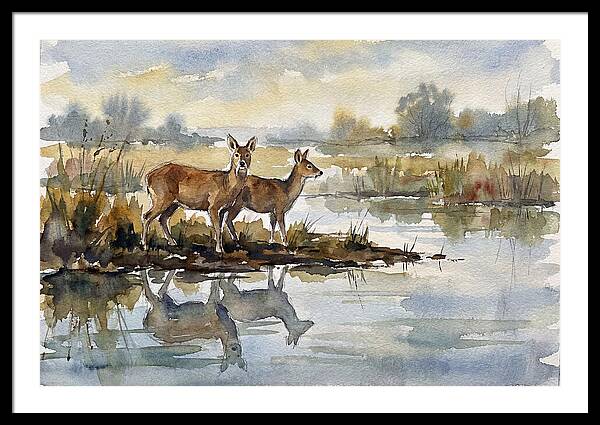 Water Deer By The Water