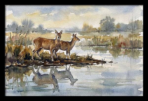 Water Deer By The Water