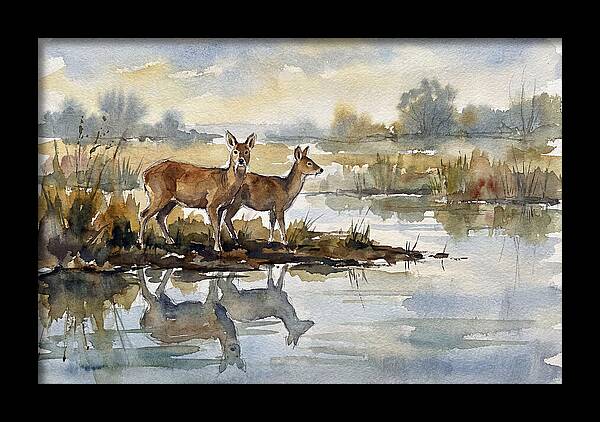 Water Deer By The Water