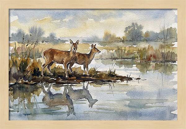 Water Deer By The Water