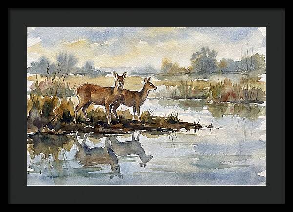 Water Deer By The Water