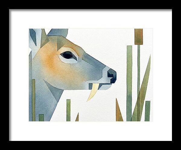 Water Deer Profile