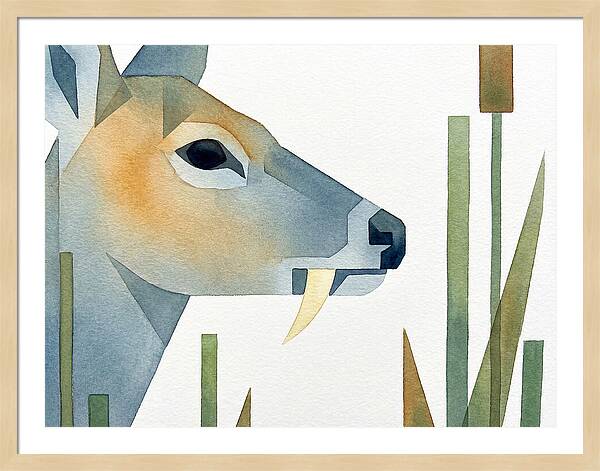 Water Deer Profile