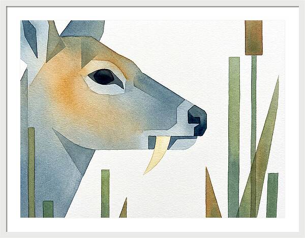 Water Deer Profile