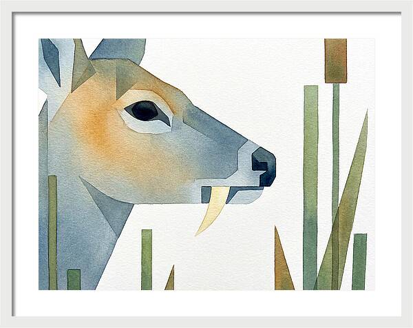 Water Deer Profile