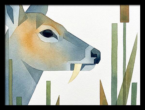 Water Deer Profile