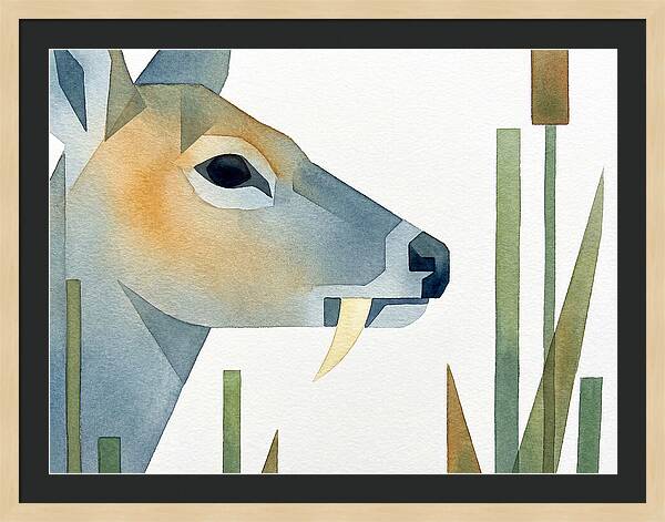Water Deer Profile
