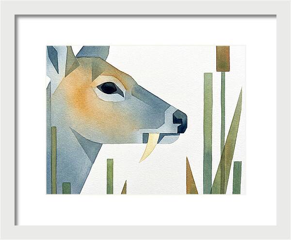 Water Deer Profile