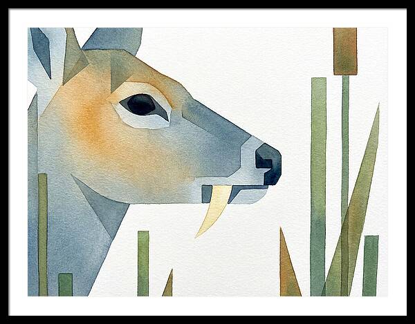Water Deer Profile