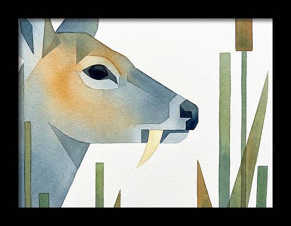 Water Deer Profile