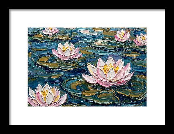 Water Lilies In Bloom