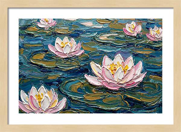 Water Lilies In Bloom