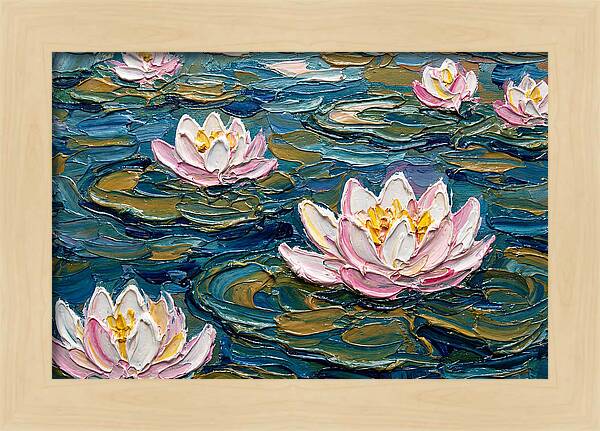 Water Lilies In Bloom