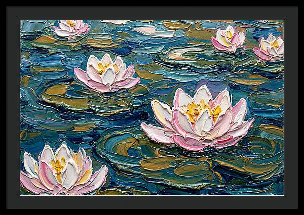 Water Lilies In Bloom