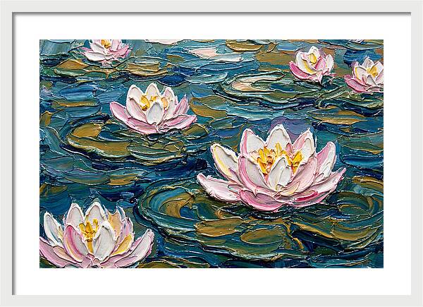 Water Lilies In Bloom
