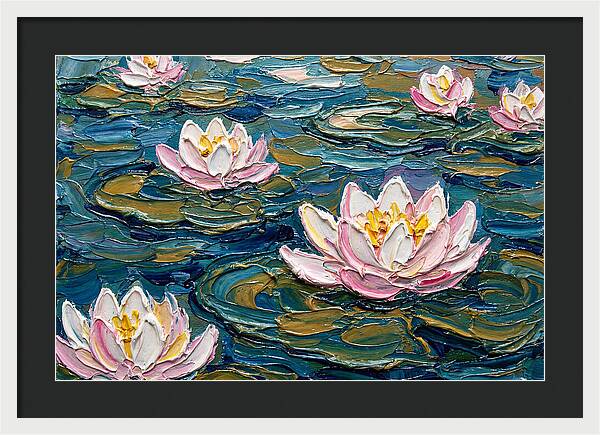 Water Lilies In Bloom