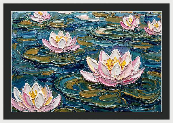 Water Lilies In Bloom