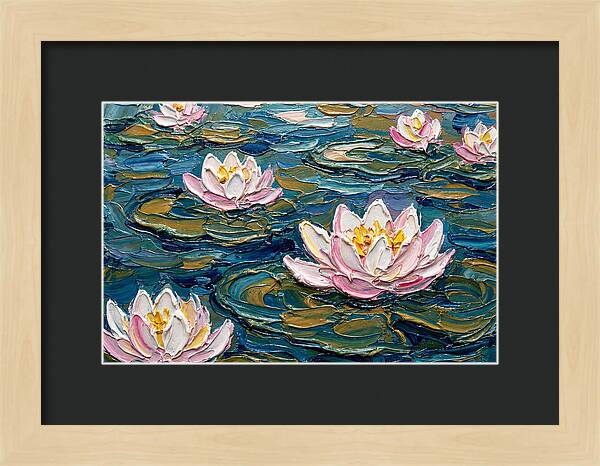 Water Lilies In Bloom