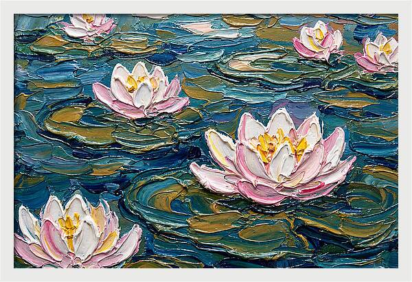 Water Lilies In Bloom