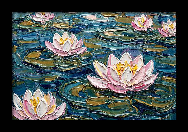 Water Lilies In Bloom