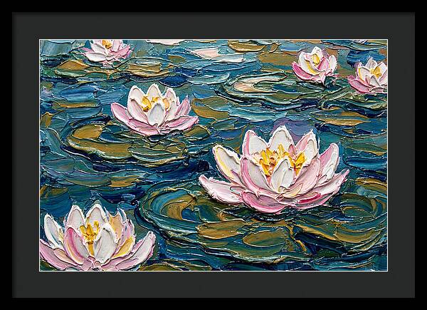 Water Lilies In Bloom