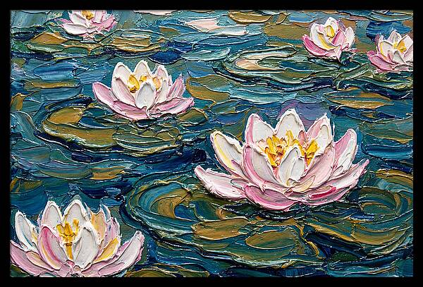 Water Lilies In Bloom