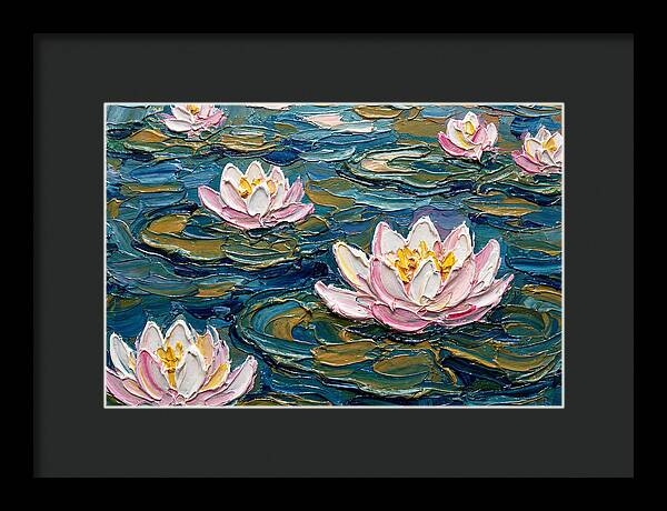 Water Lilies In Bloom