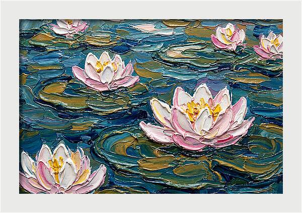 Water Lilies In Bloom