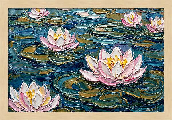 Water Lilies In Bloom