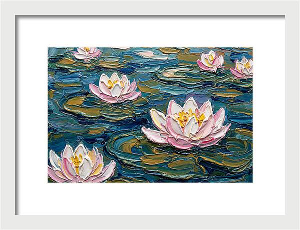 Water Lilies In Bloom