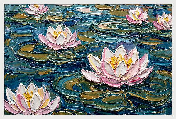 Water Lilies In Bloom
