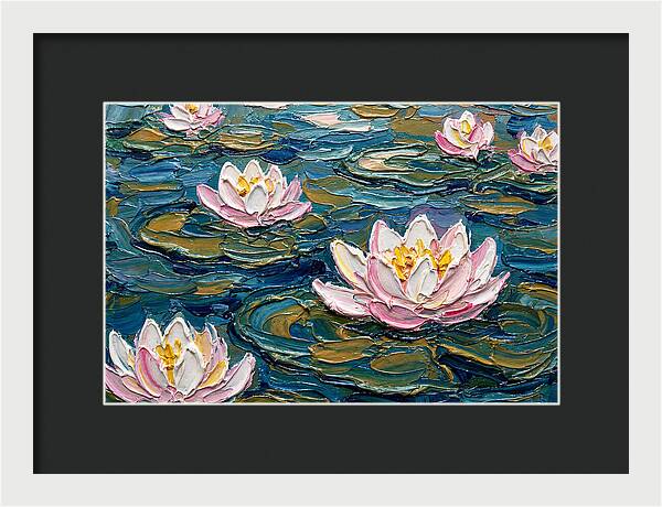 Water Lilies In Bloom