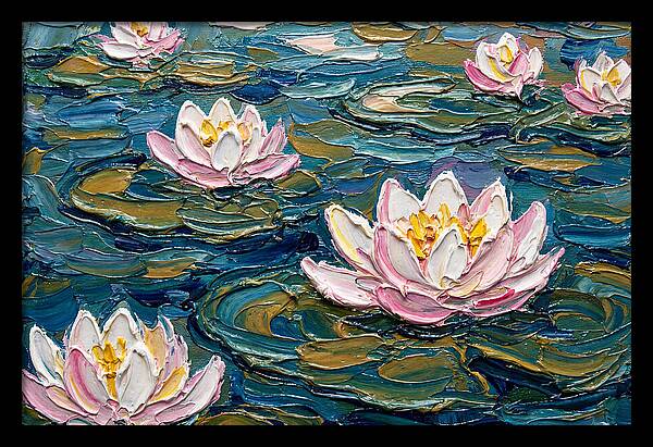 Water Lilies In Bloom