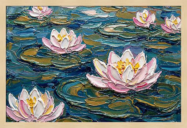 Water Lilies In Bloom