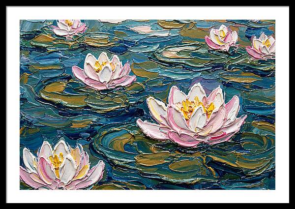 Water Lilies In Bloom