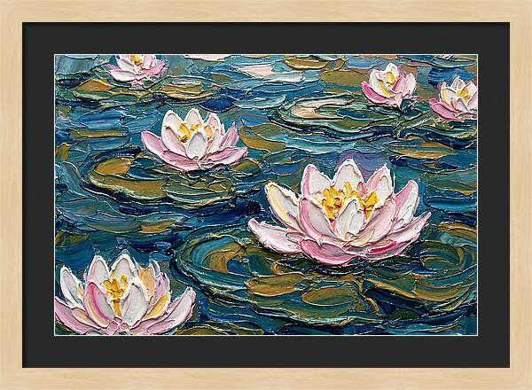 Water Lilies In Bloom