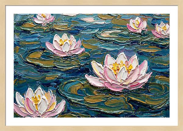 Water Lilies In Bloom