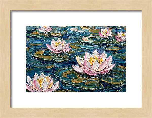 Water Lilies In Bloom