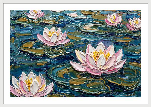 Water Lilies In Bloom