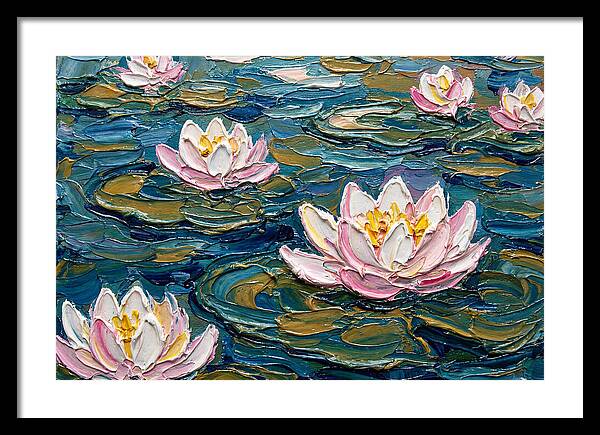 Water Lilies In Bloom