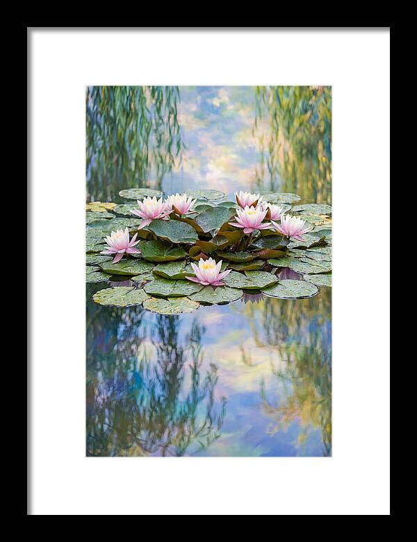 Water Lilies In Giverny