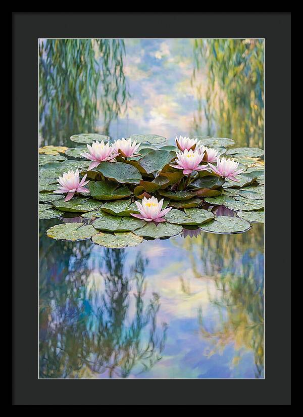 Water Lilies In Giverny