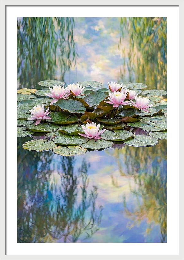 Water Lilies In Giverny