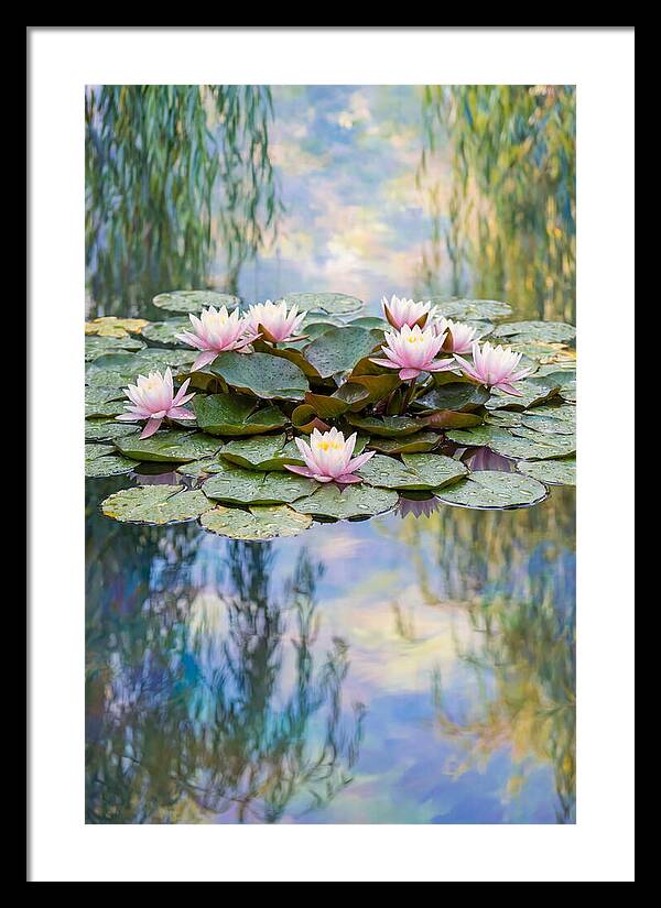 Water Lilies In Giverny